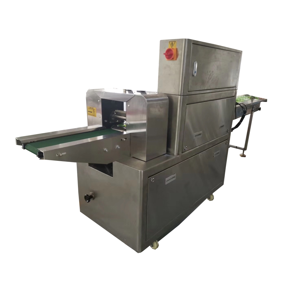 ZSJ-450SS Automatic pillow packing machine SS304